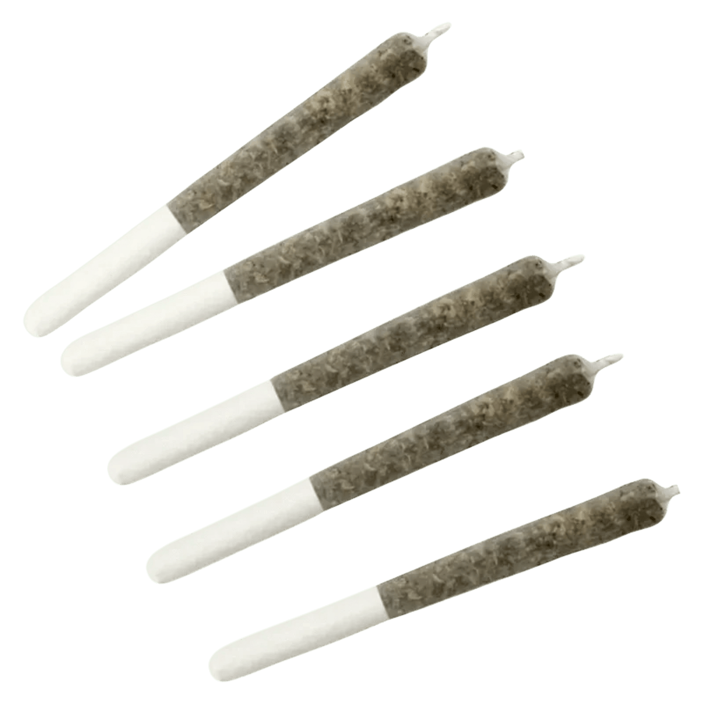 Dime Bag Wildcat Serum Infused Pre-Roll | Smokey's