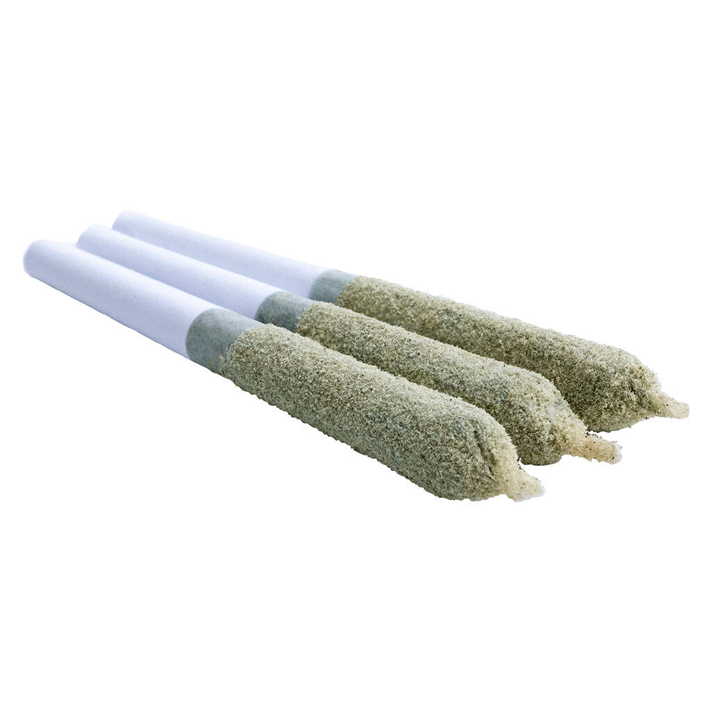 Shark Bite Toasters DBL Infused Pre-Roll | Smokey's