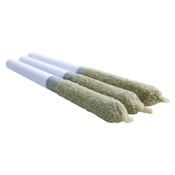 Shark Bite Toasters DBL Infused Pre-Roll — Smokey's | Indica PR | Cannabis Delivery & Pickup
