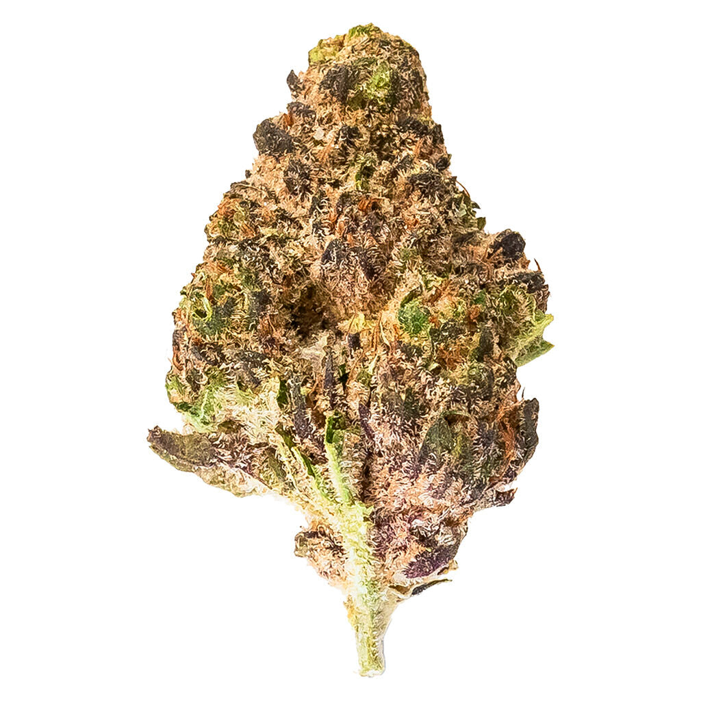 28g