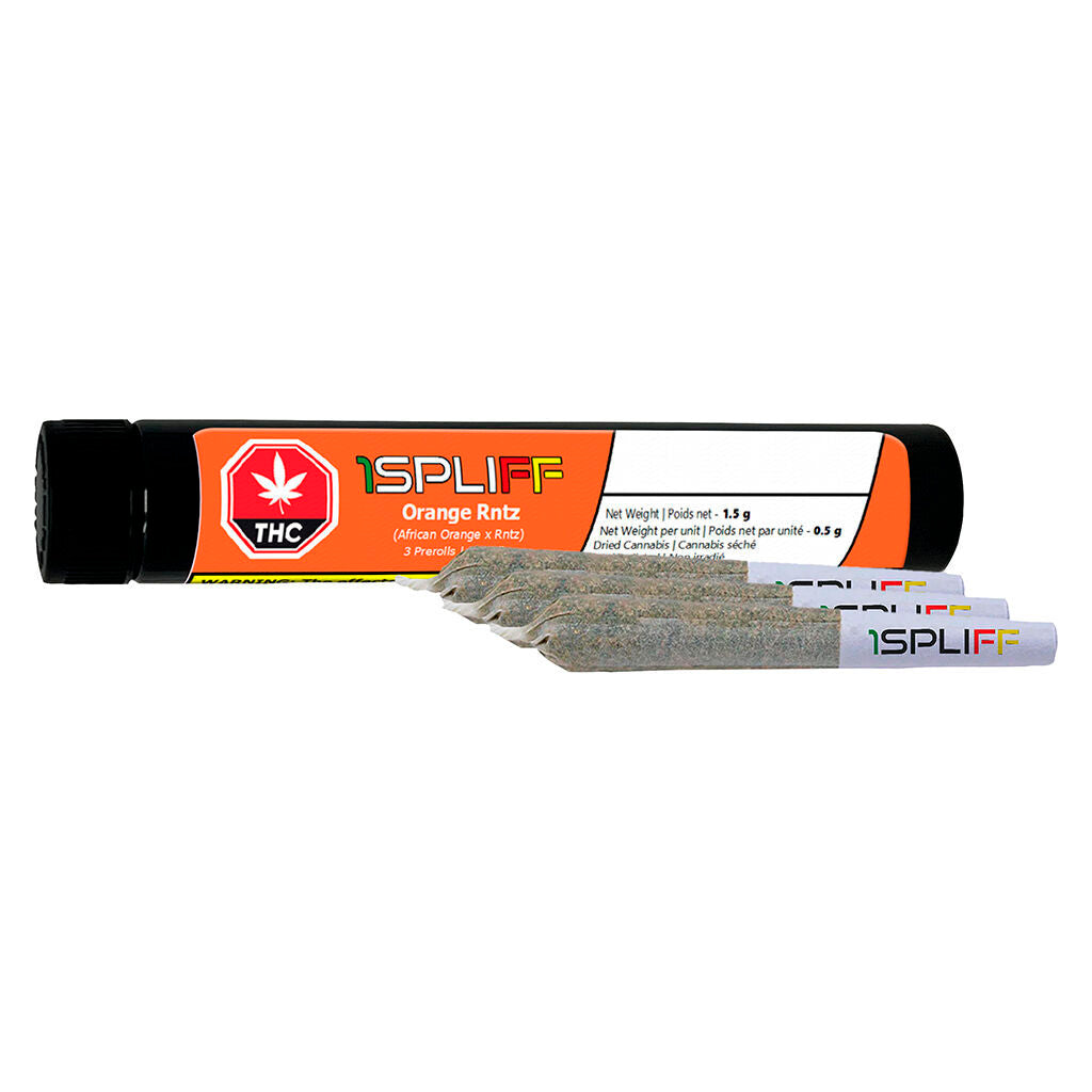 Orange Rntz Pre-Roll | Smokey's