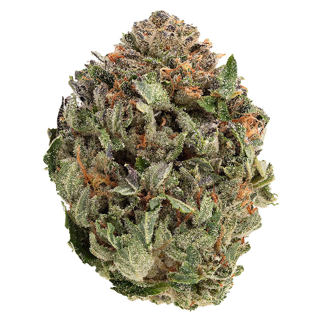 Comatose | Smokey's