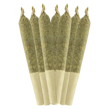 Sheeesh! Key Lime Pie Pre-Roll