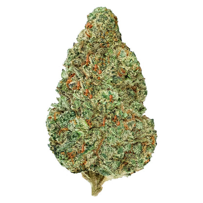 28g