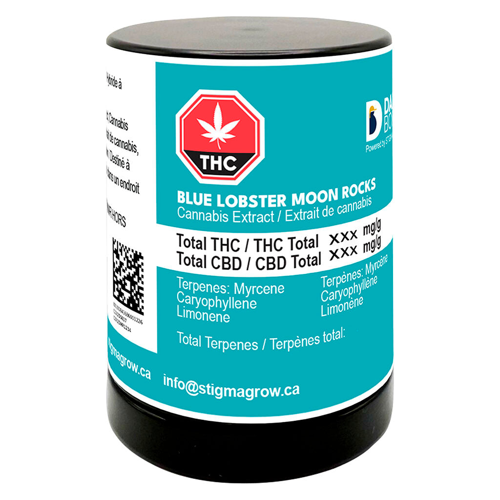 Dab Bods Blue Lobster Moon Rocks