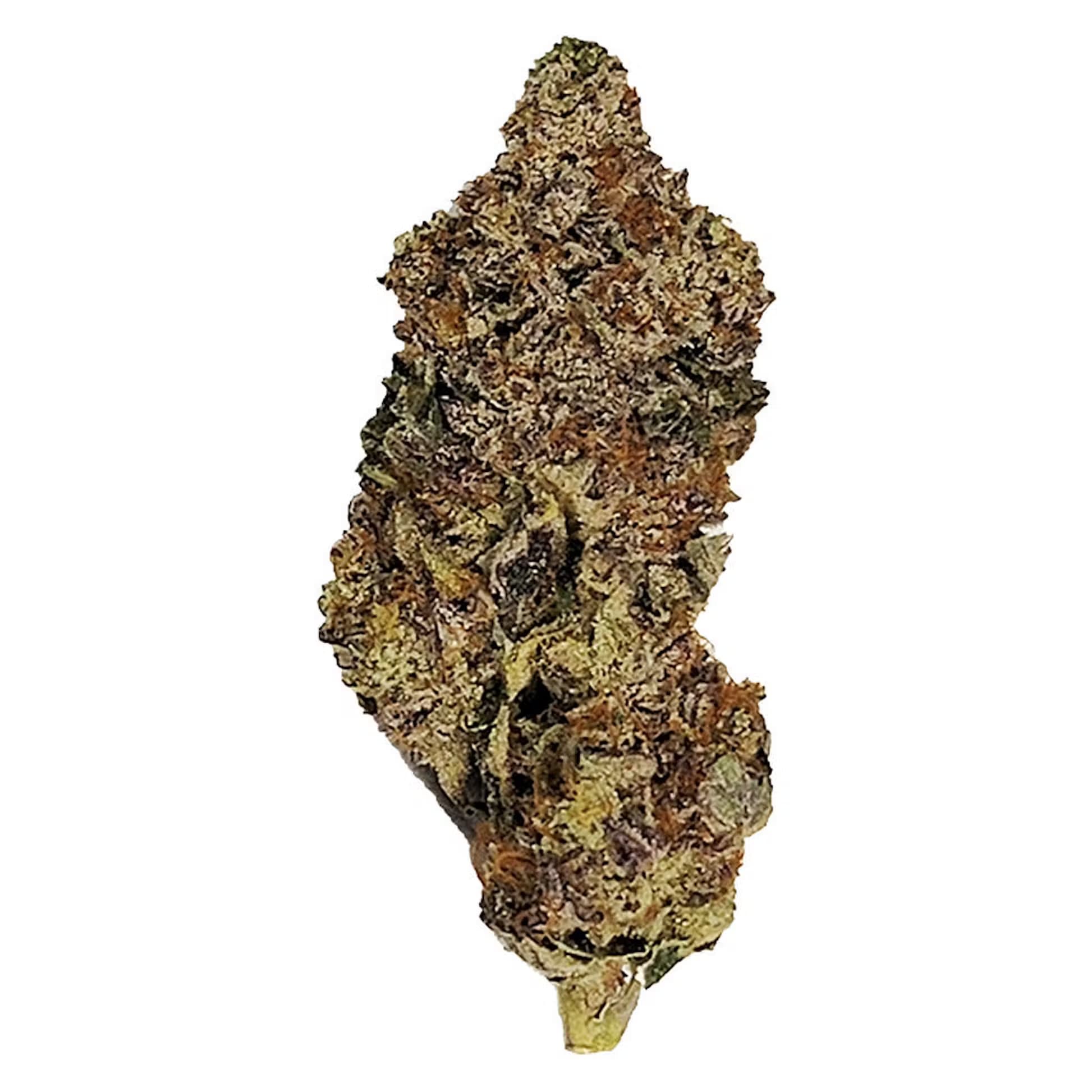 Gorilla | Smokey's