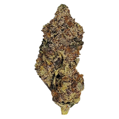 Gorilla | Smokey's