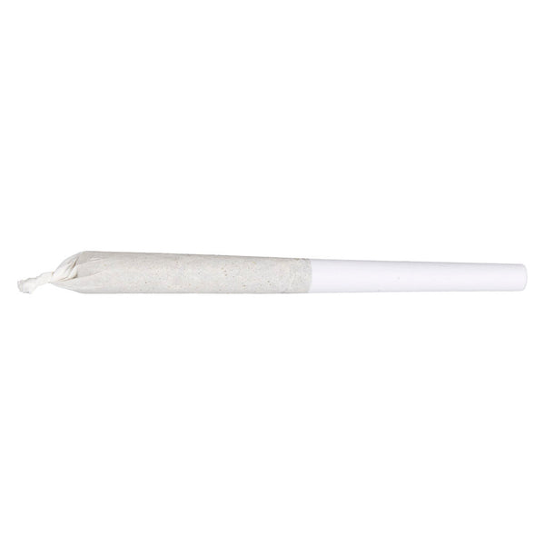 Pumpkin Spice Pre-Roll — Smokey's | Hybrid PR | Cannabis Delivery & Pickup