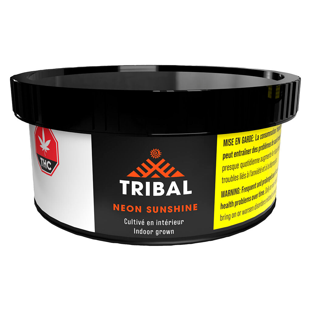 Tribal Neon Sunshine