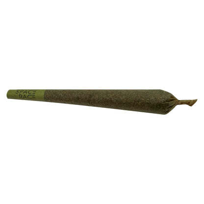 1x1g