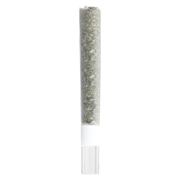 Pure Michigan Glass Tip Pre-Roll — Smokey's | Indica PR | Cannabis Delivery & Pickup