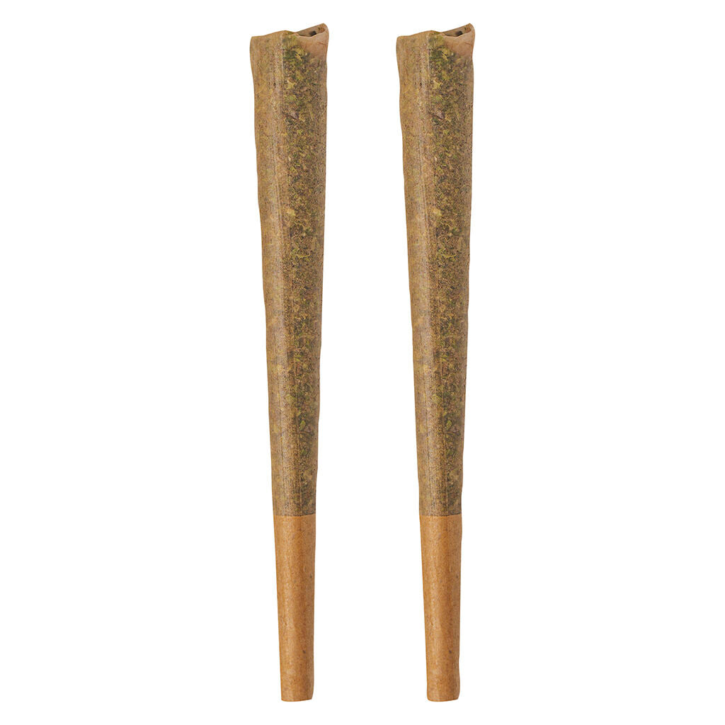2x1g