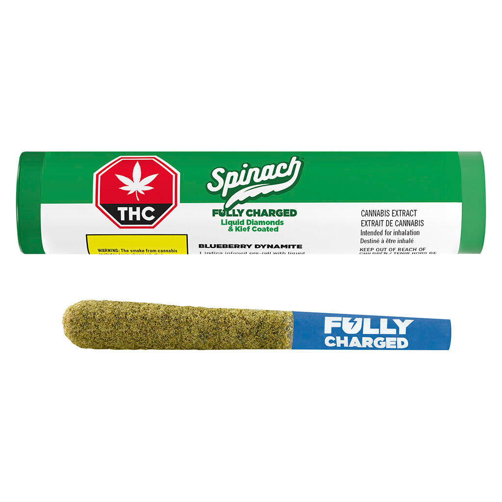 Blueberry Dynamite Infused Pre-Roll | Smokey's