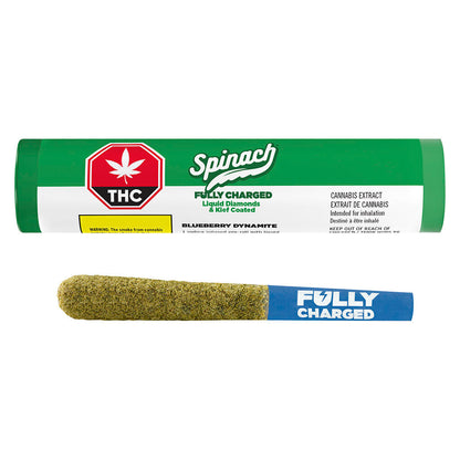 Blueberry Dynamite Infused Pre-Roll | Smokey's