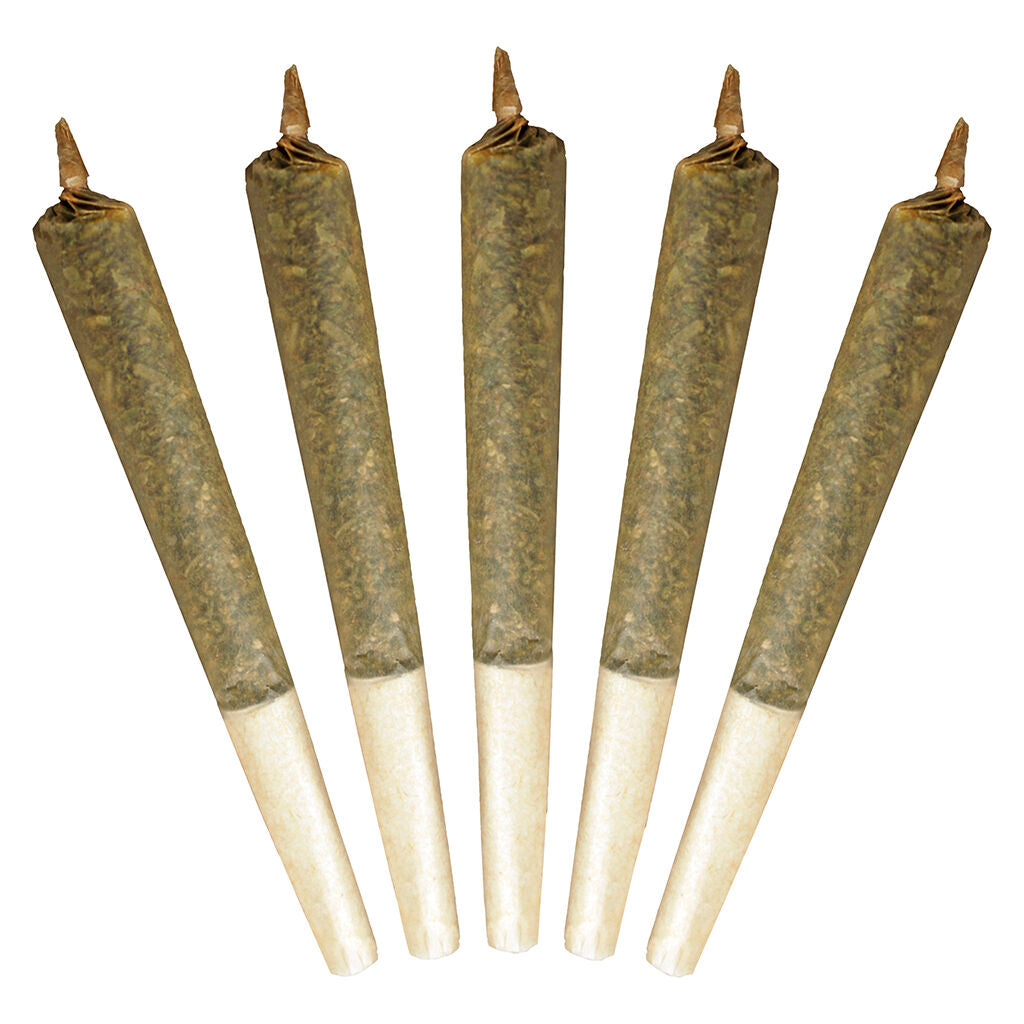 5x1g