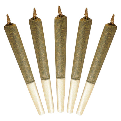5x1g
