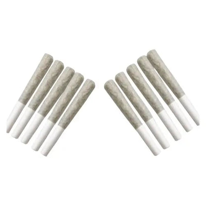 3x1g