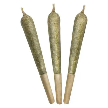 10x0.5g