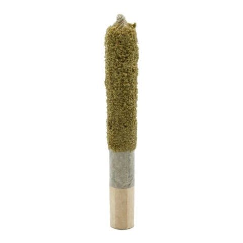 Galactic Jack Coated Infused Pre-Roll — Smokey's | Sativa PR | Cannabis Delivery & Pickup
