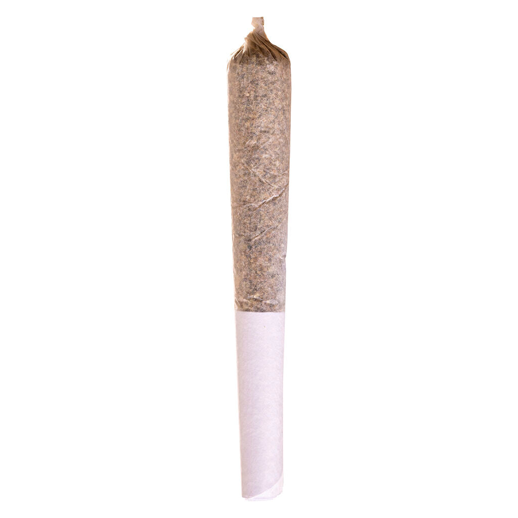 Station House Jack Herer Pre-Roll