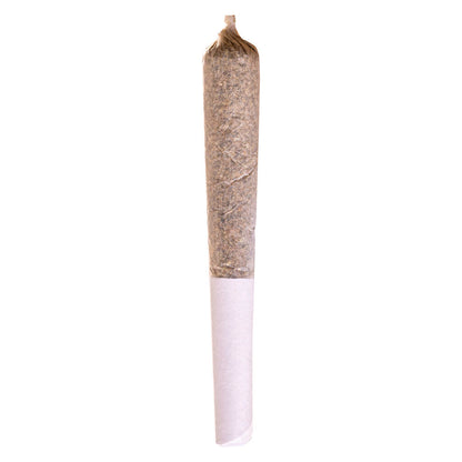 Station House Jack Herer Pre-Roll