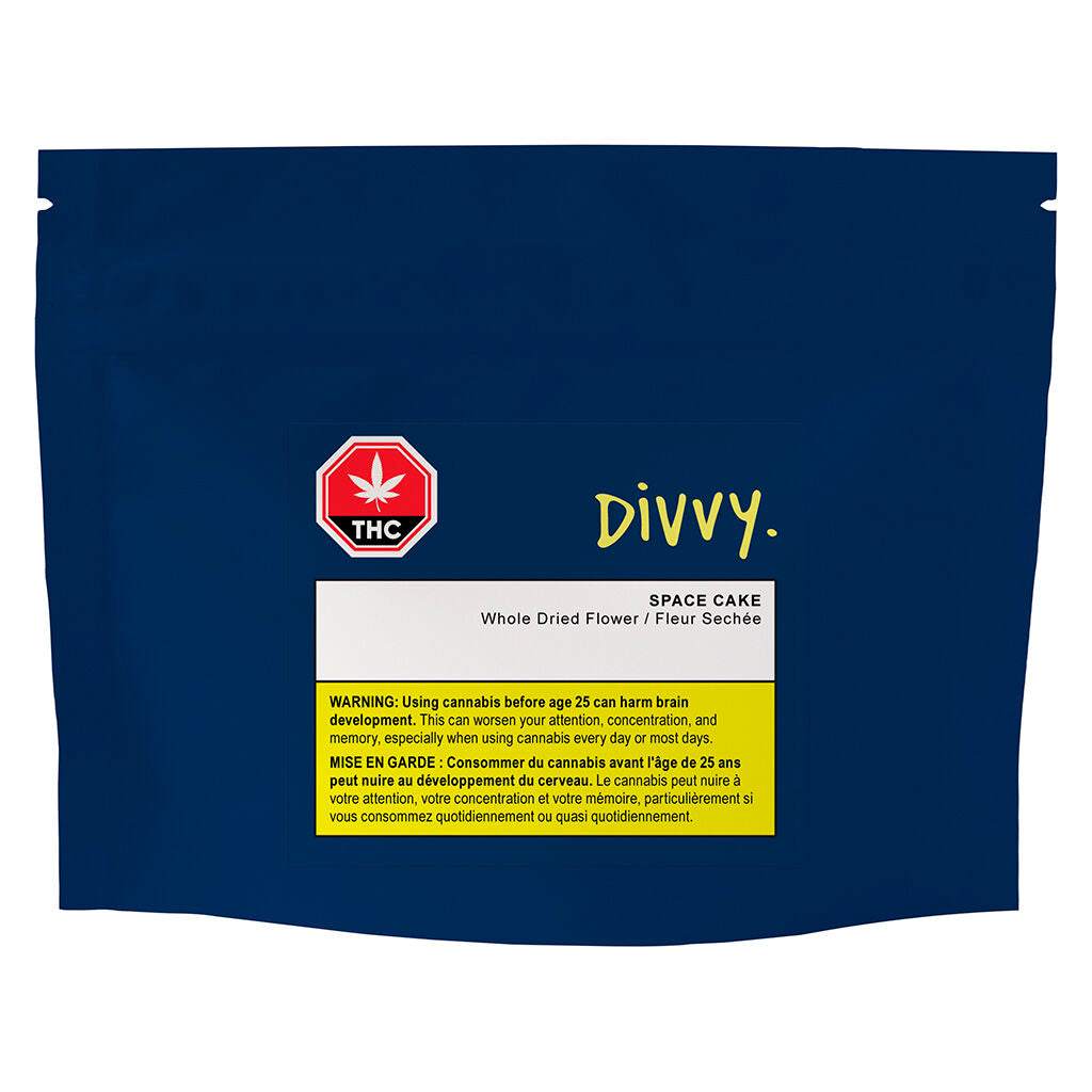Divvy Space Cake