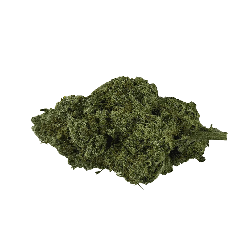 28g