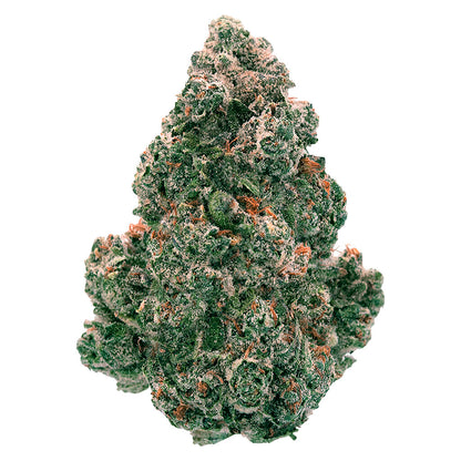 Back Forty Liquid Imagination