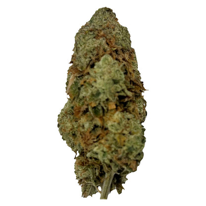 7g