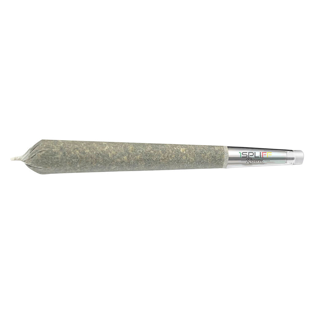 1Spliff Reserve Hawaiian Snowcone Glass Tip Pre-Roll