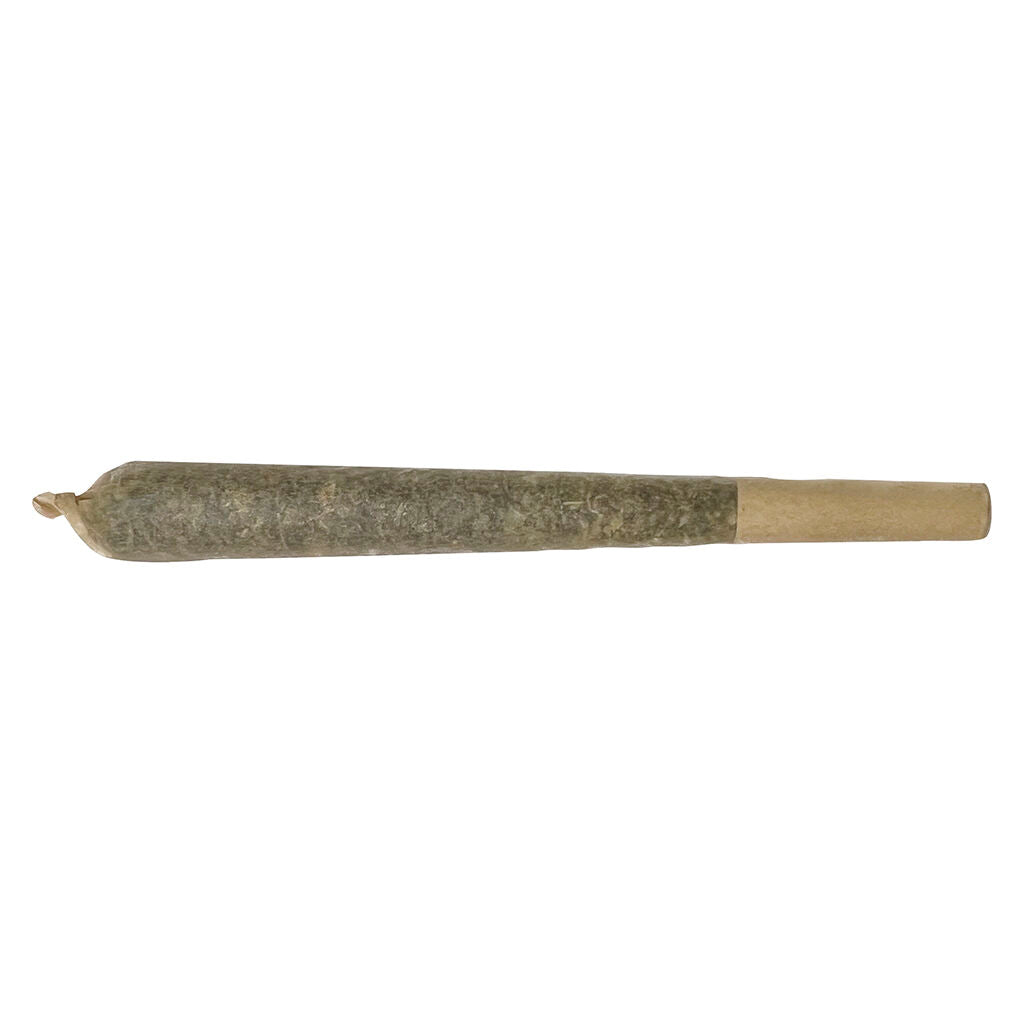 1x1g
