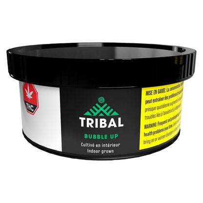 Tribal Bubble Up