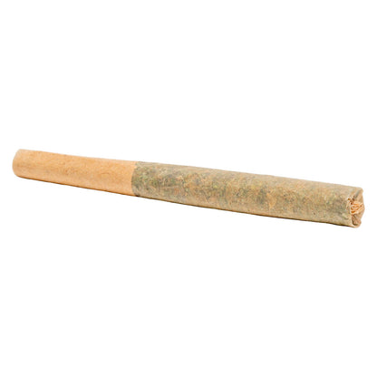 2x1g