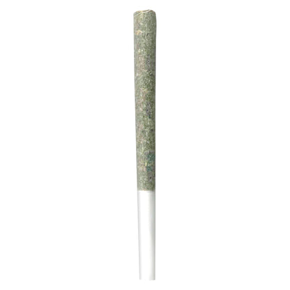 Gelato Punch Pre-Roll | Smokey's