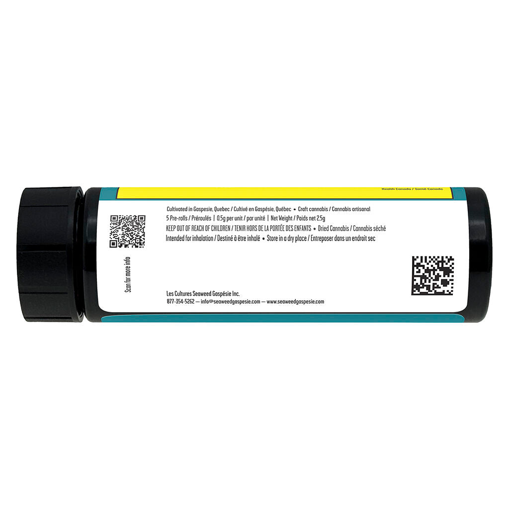 Seaweed Craft Animal Junky Dog Walker Pre-Roll