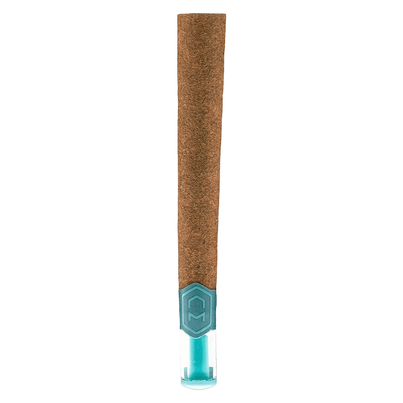 1x1g
