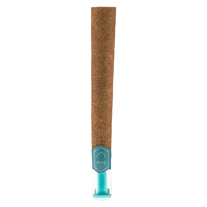 1x1g