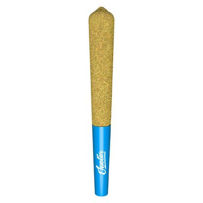 1x1g