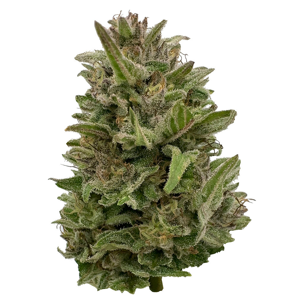 28g