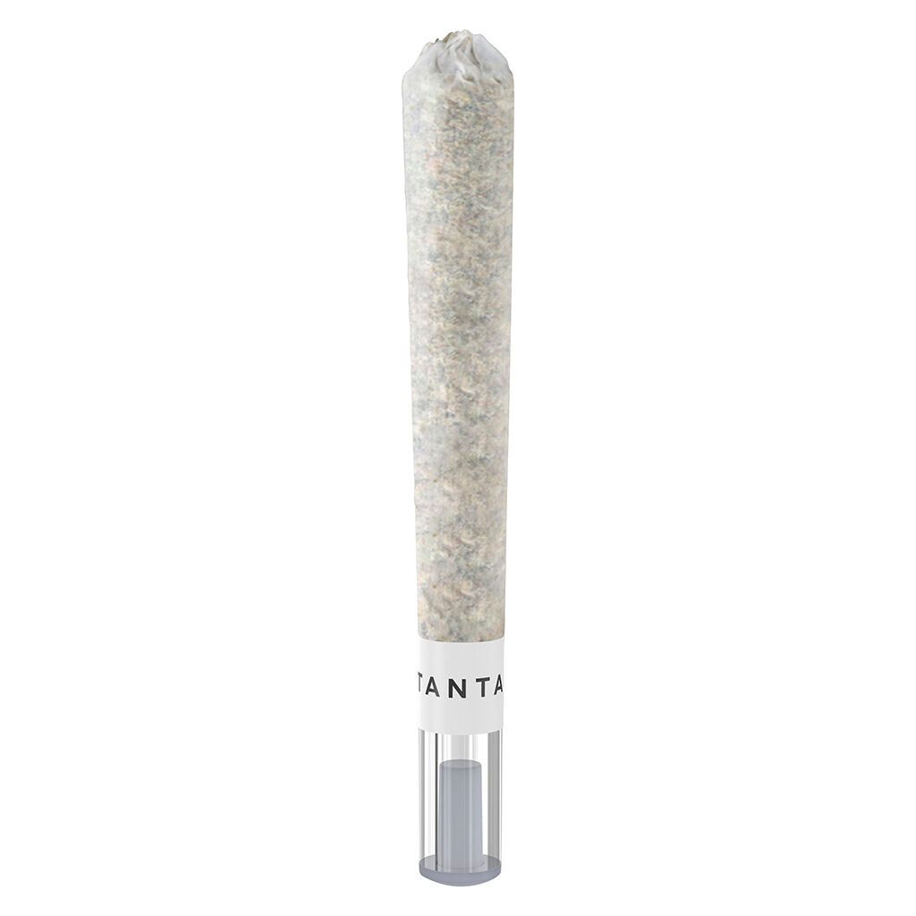 1x1g
