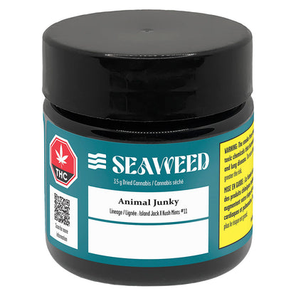 Seaweed Animal Junky Craft