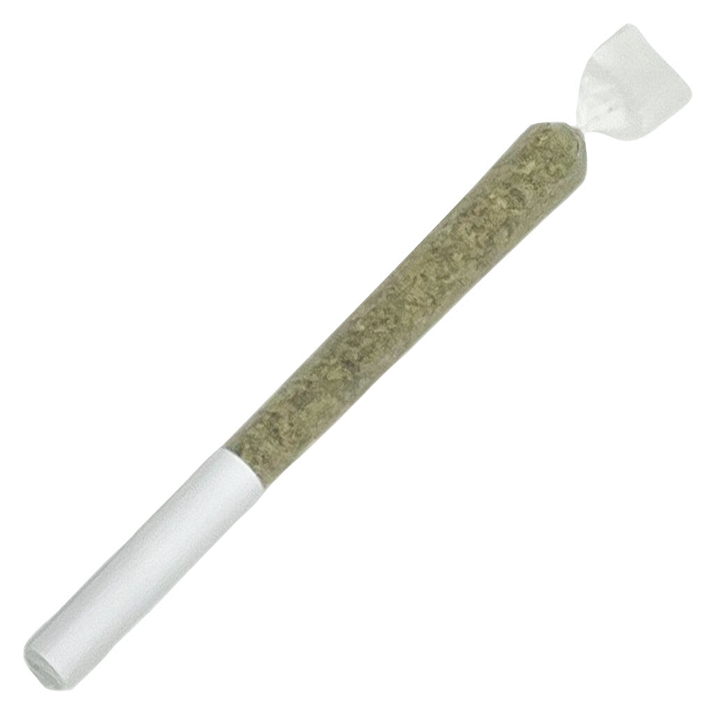 2x1g