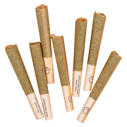 2x1g
