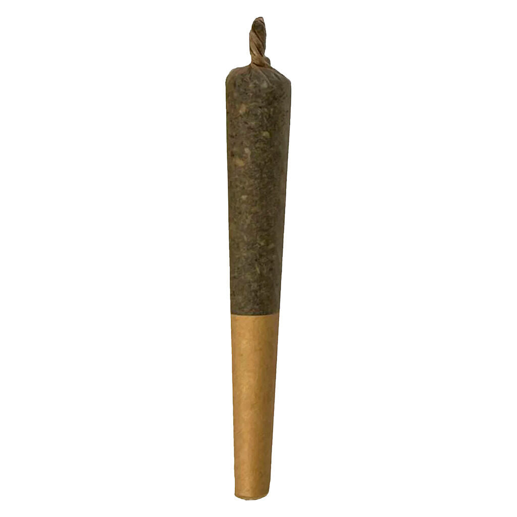 1x1g