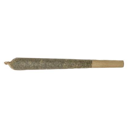 1x1g