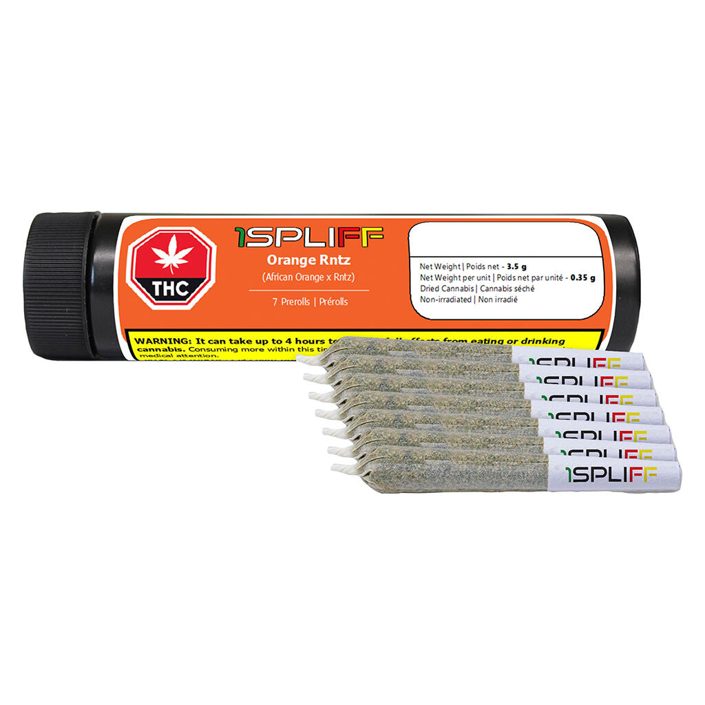 Orange Rntz Pre-Roll | Smokey's
