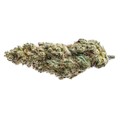 Sunfarms Blue Dream #16