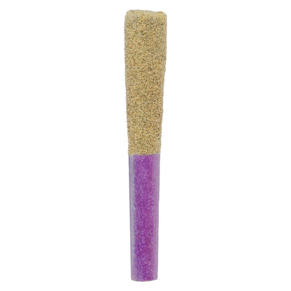 1x1g
