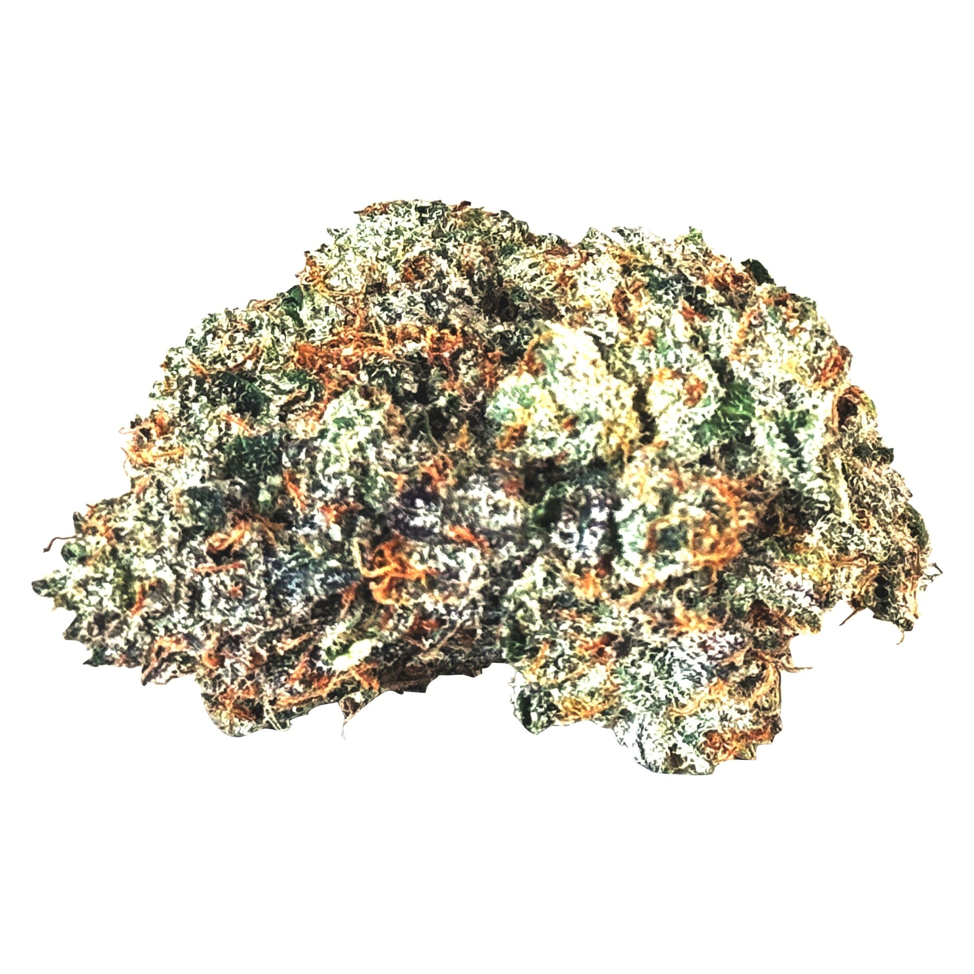 MTL Gas n' Up