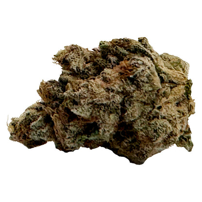 MTL El Jefe